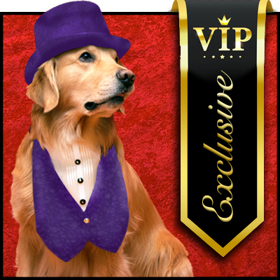 //www.thethinkingk9.com/wp-content/uploads/2019/01/vip-dog-400.png