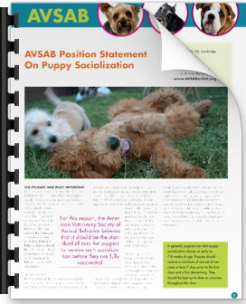 Adoption image