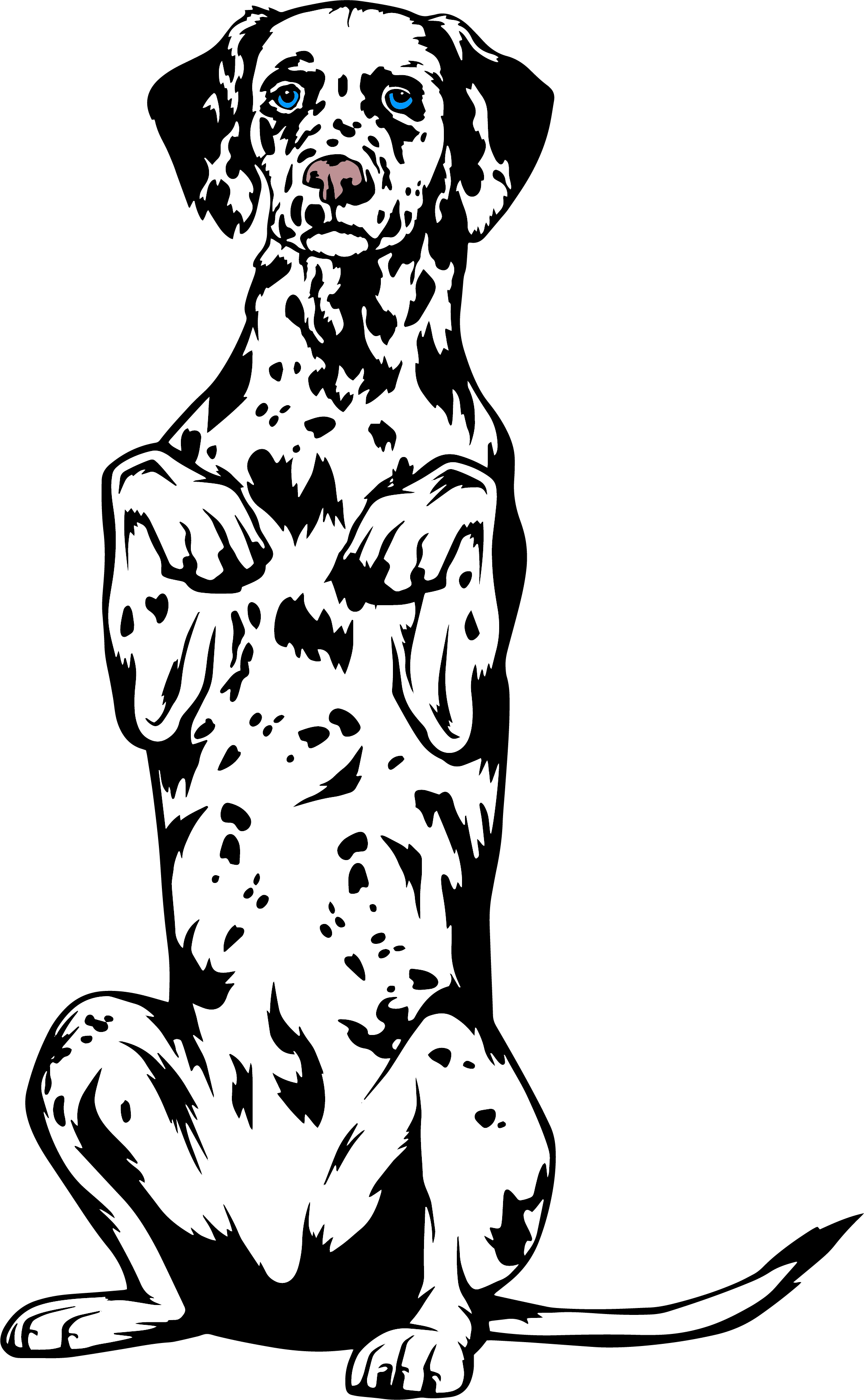 //www.thethinkingk9.com/wp-content/uploads/2022/05/dal-color.png