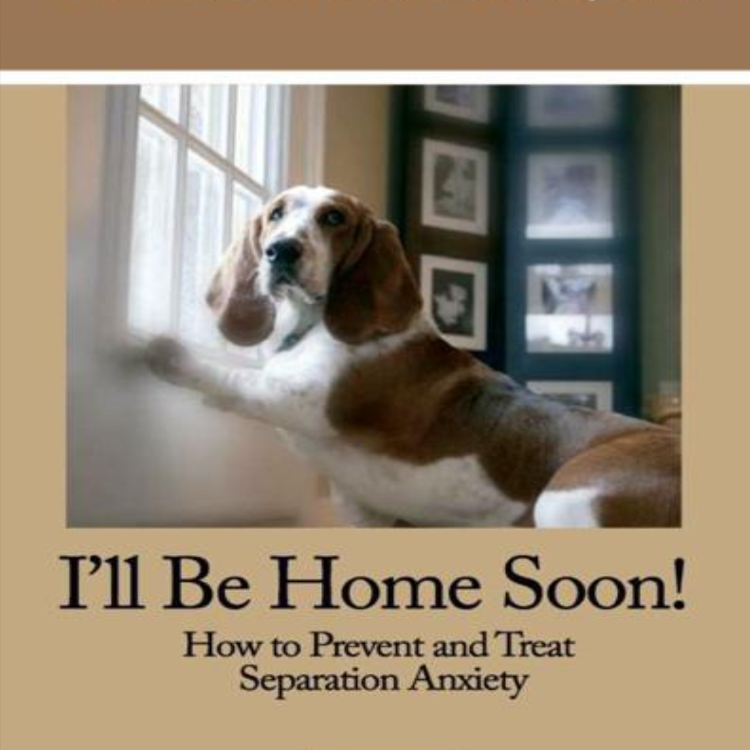 Adoption image