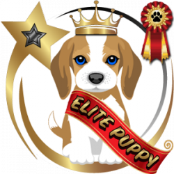 https://www.thethinkingk9.com/wp-content/uploads/2017/12/ElitePuppy300-250x250.png