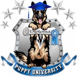 https://www.thethinkingk9.com/wp-content/uploads/2017/12/Puppy-University300-250x250.png
