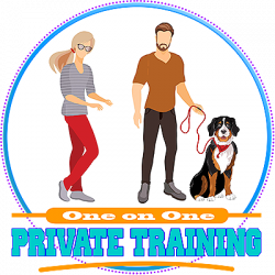 https://www.thethinkingk9.com/wp-content/uploads/2018/01/PT-Logo400-250x250.png