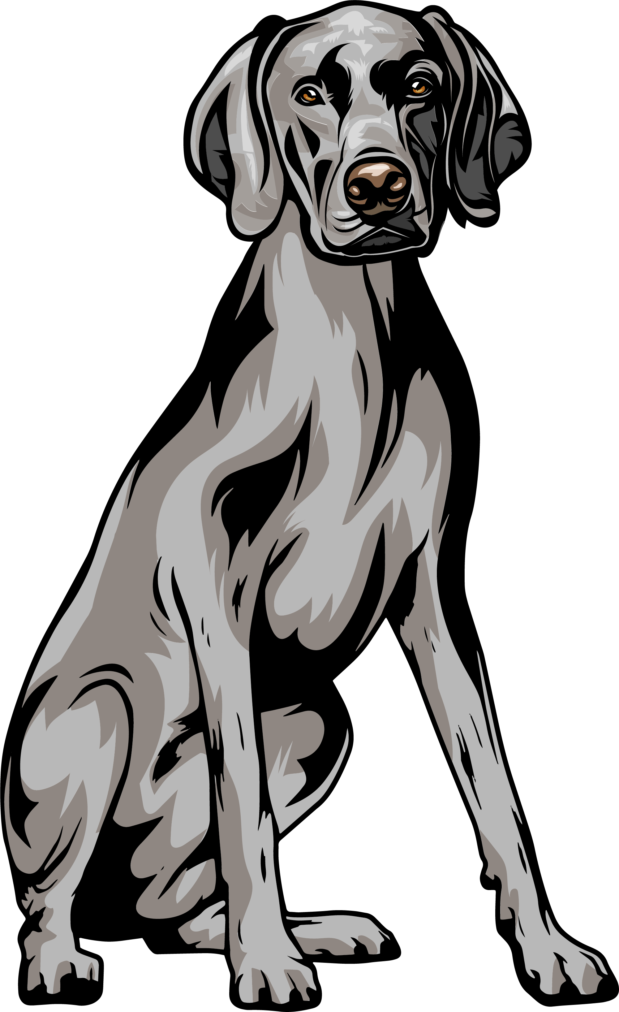 //www.thethinkingk9.com/wp-content/uploads/2022/05/www.ClipArtSVG.com-Animal-Dog-Weimaraner-4r5-Sitting-Color-e1652251843680.png