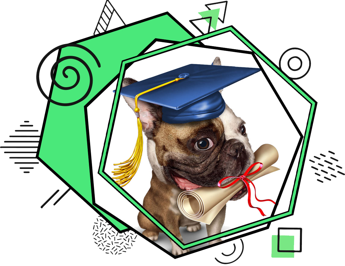//www.thethinkingk9.com/wp-content/uploads/2023/01/abstractdoggradgn.png