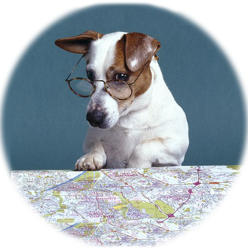 //www.thethinkingk9.com/wp-content/uploads/2023/01/map-reading-dog-1.png